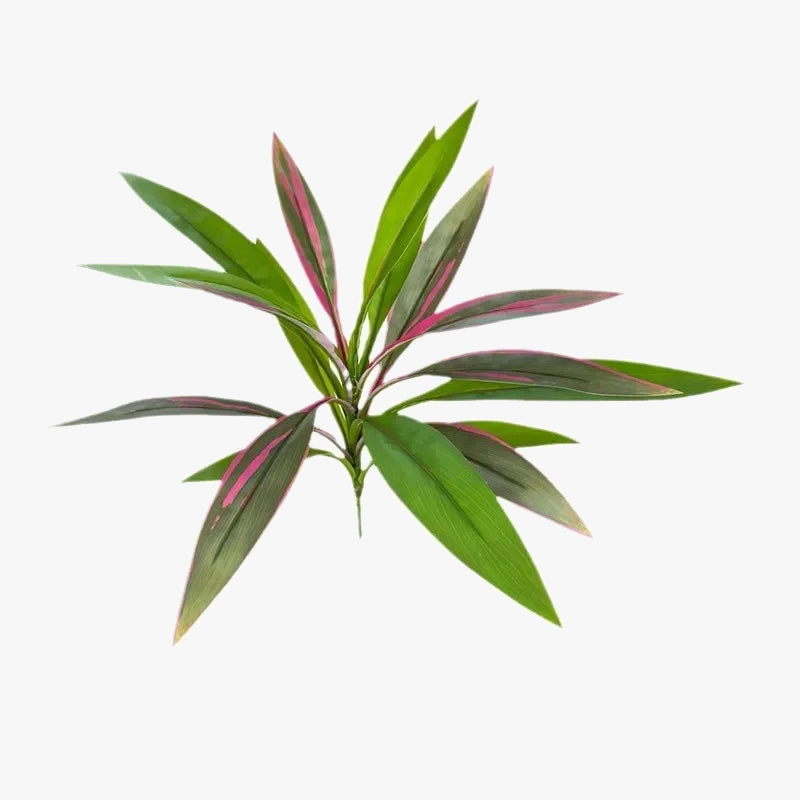plantes vertes artificielles décoratives pour balcon et hôtel