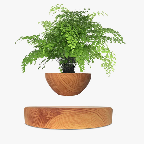 pot-de-bonsa-l-vitation-magn-tique-pour-d-coration-sp-ciale-0.png