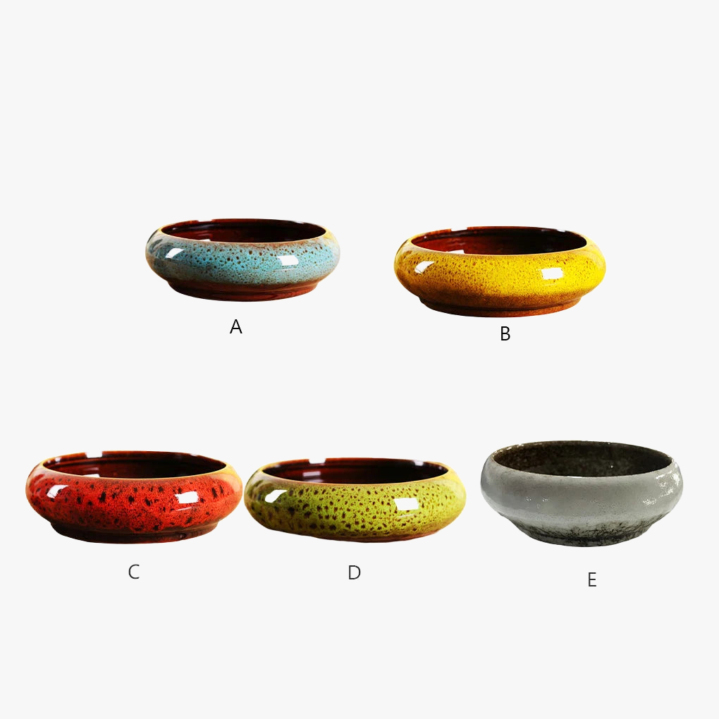 pots hydroponiques ronds pour plantes succulentes jardin intérieur