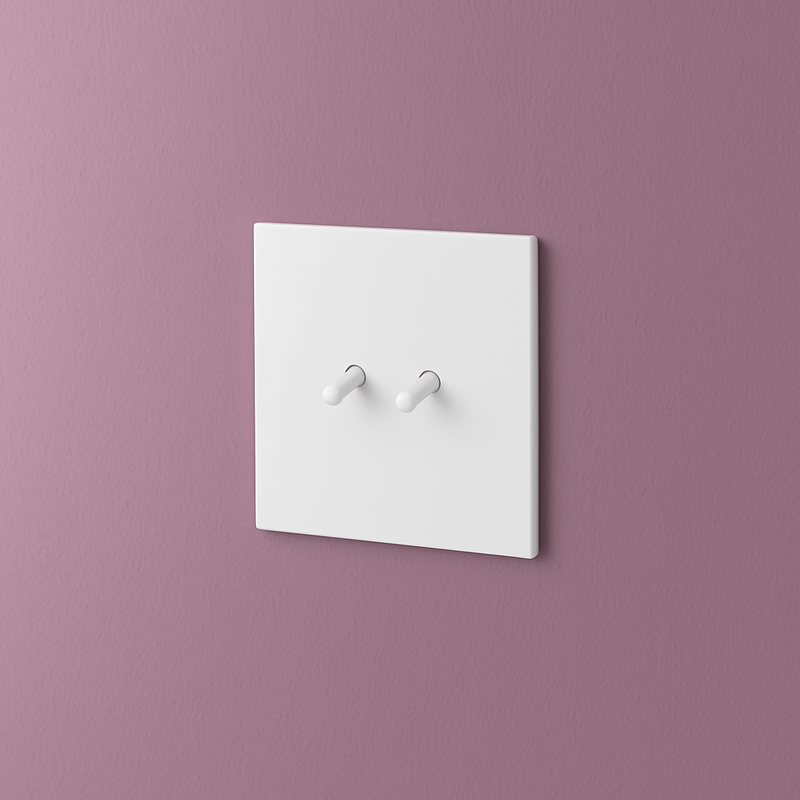 Prise double RJ45 en acier blanc mat