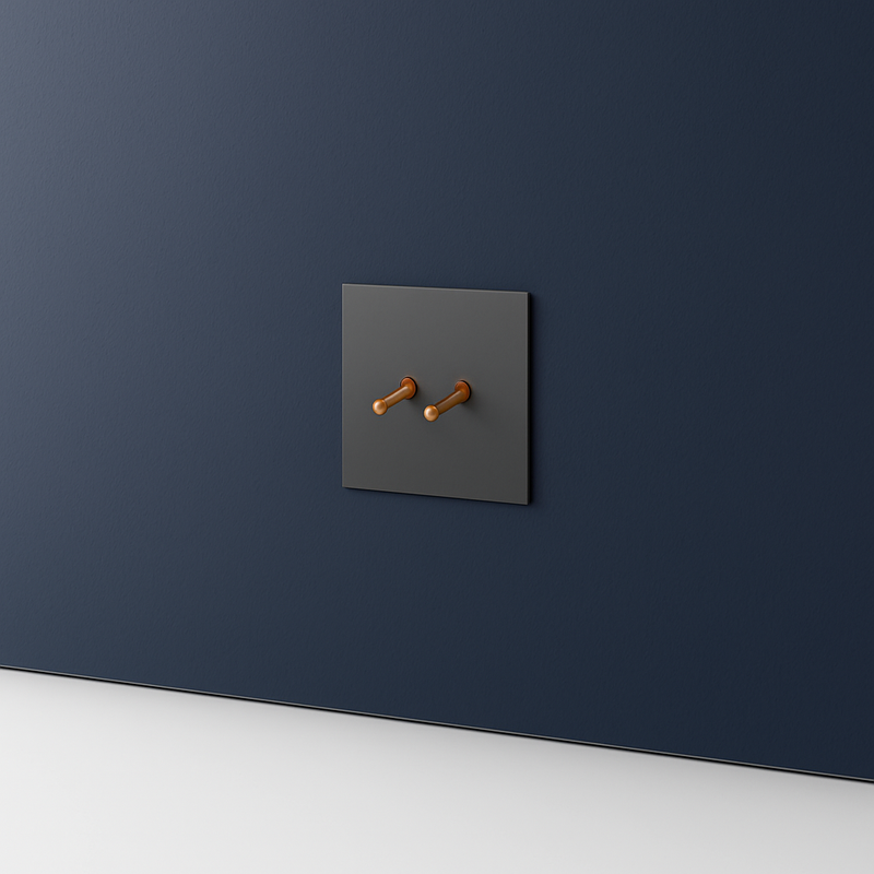 Prise double RJ45 en acier gris brossé