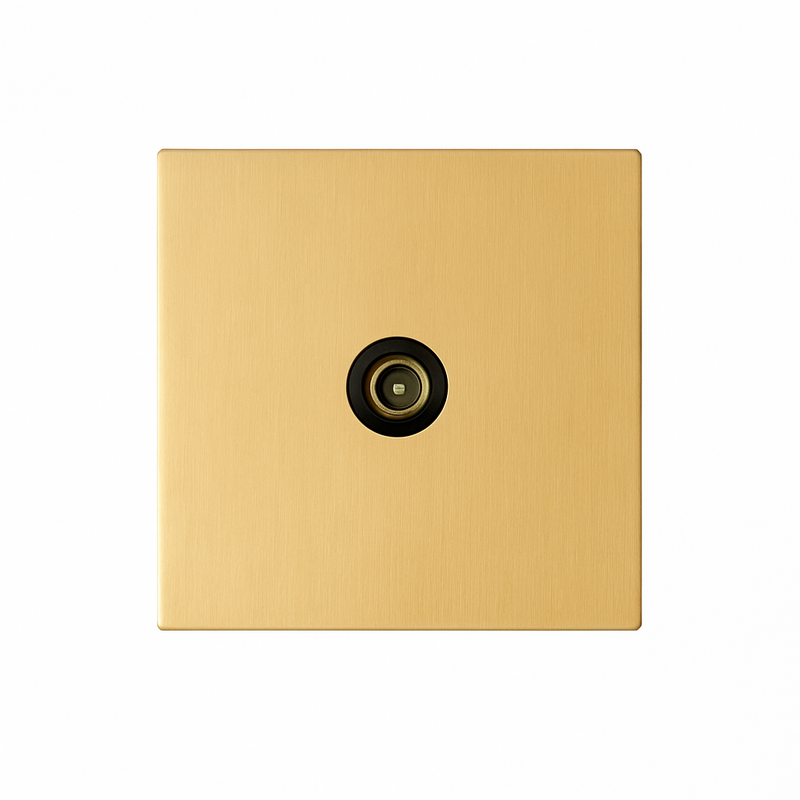 Prise TV en acier doré brossé