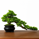 simulation arbre bonsaï pour décoration intérieure et aménagement extérieur