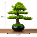 simulation arbre bonsaï pour décoration intérieure et aménagement extérieur