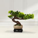 simulation arbre bonsaï pour décoration intérieure et aménagement extérieur