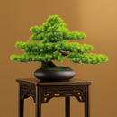simulation arbre bonsaï pour décoration intérieure et aménagement extérieur