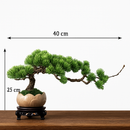 simulation arbre bonsaï pour décoration intérieure et aménagement extérieur