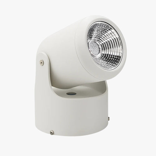 Spot LED directionnel (noir ou blanc)