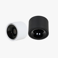 Spot lumineux LED COB pour plafond