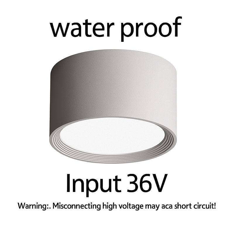 49558055944538|49558056010074|49558056108378