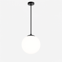 Suspension boule Personnalité créative moderne
