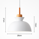 Suspension design moderne à LED de couleur Lampes
