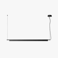 Skandinavische lineare LED-Pendelleuchte Compendium lang