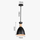 suspension-industrielle-loft-style-nordique-en-fer-6.png