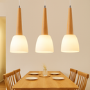 Moderne Pendelleuchte aus Holz GZMJ mit LED-Halterung