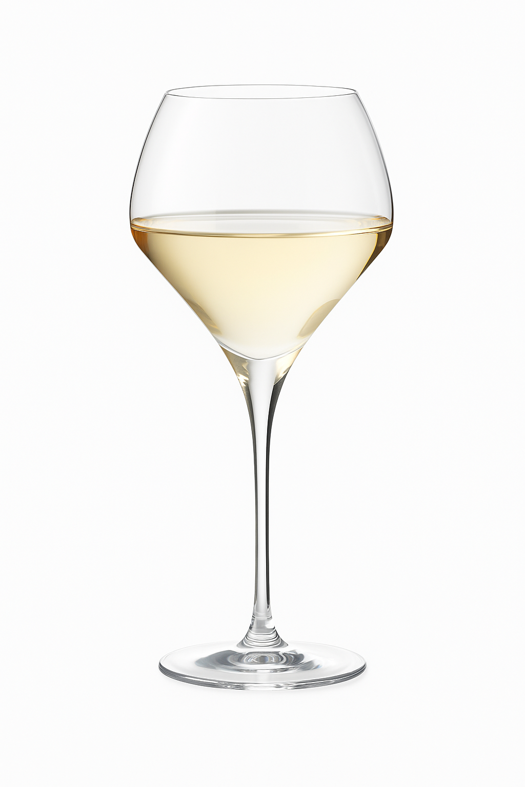 Verres à pied élégants style gin tonic cocktail