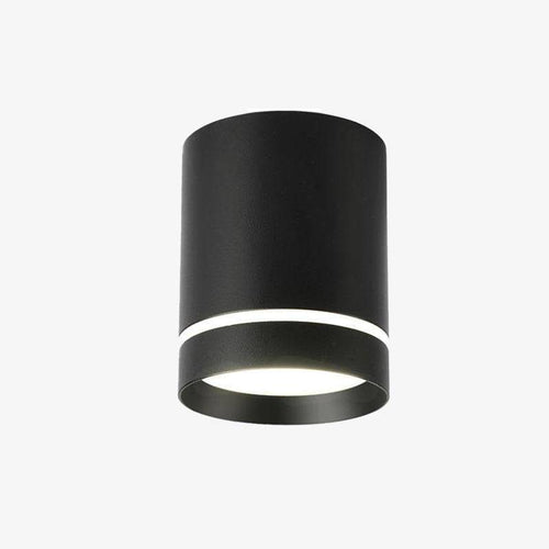 Spot moderne LED cylindre métal coloré Loft
