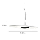 Designorientierte und minimalistische Pendelleuchte mit asymmetrischer Form Poe