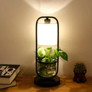 LED-Tischlampe mit Lampenschirm und Pflanze