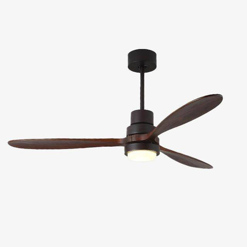 Ventilateur de plafond LED Modern à base colorée